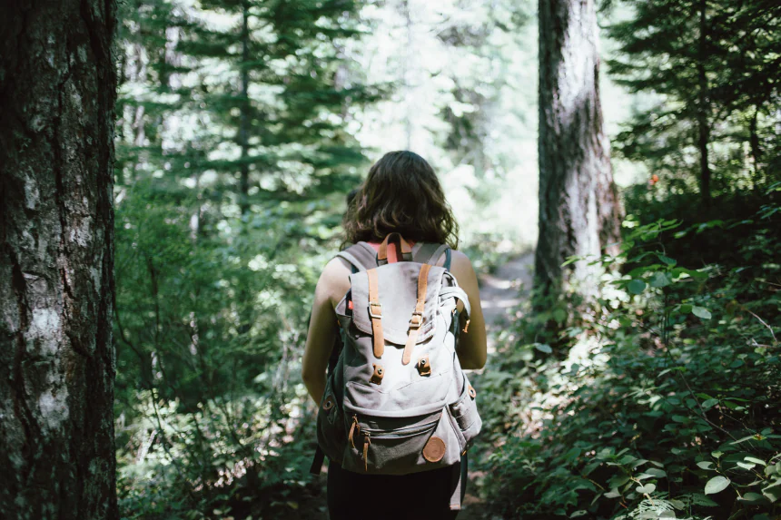 The Healing Power of a Walk in the Forest